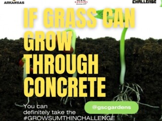 gscgardensapril2023