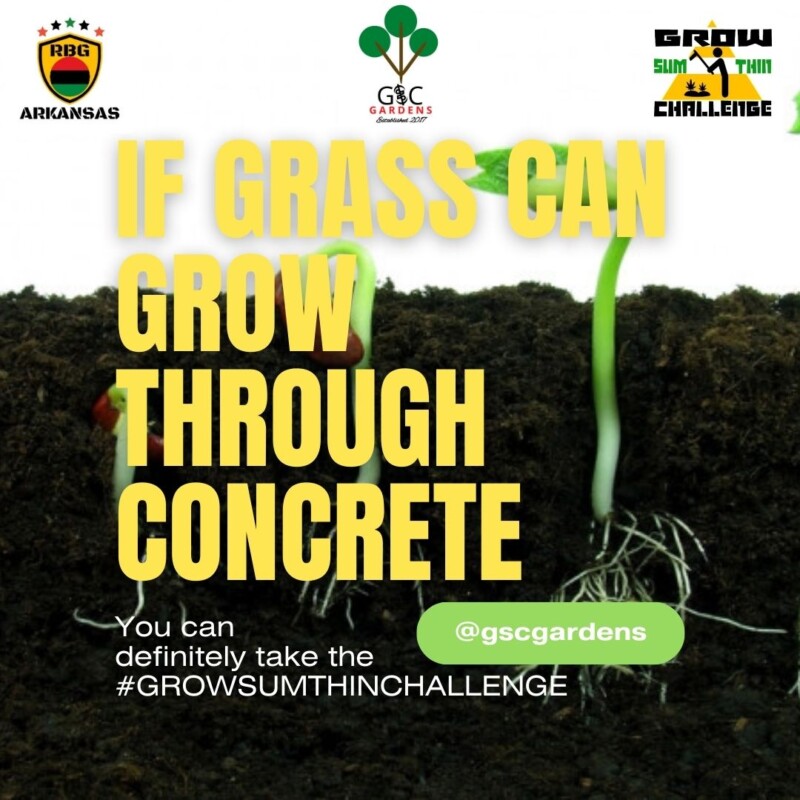 gscgardensapril2023