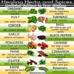 herbal-remedies-chart