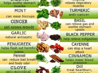 herbal remedies chart