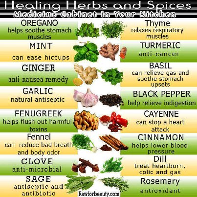 herbal-remedies-chart